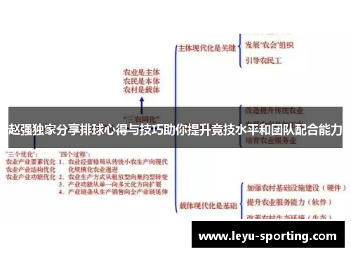 赵强独家分享排球心得与技巧助你提升竞技水平和团队配合能力